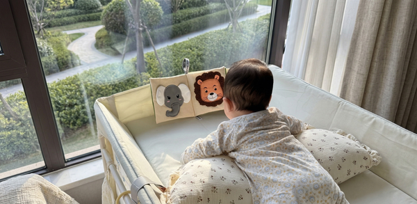 Age 0 - 12 months